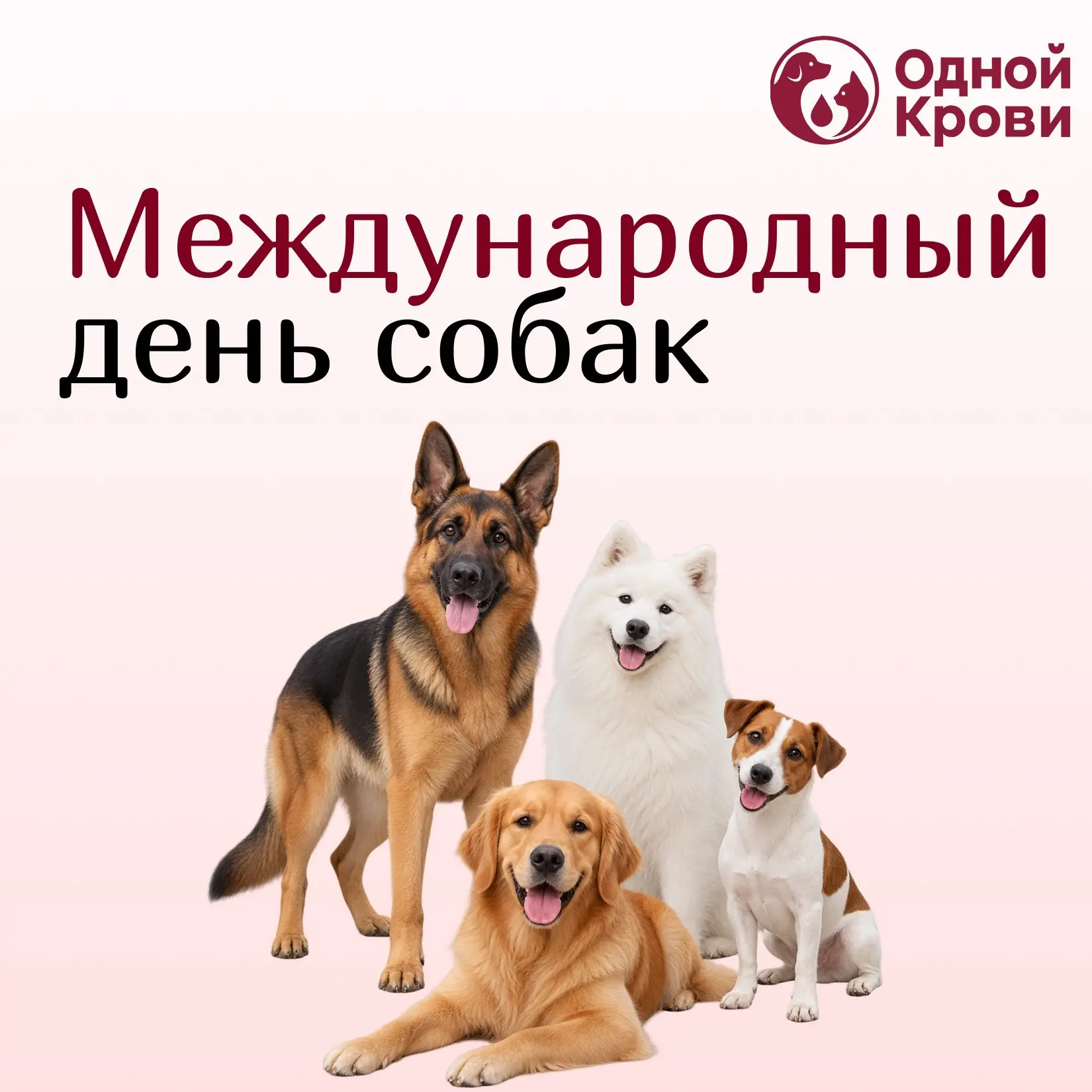 26 августа — Международный день собак