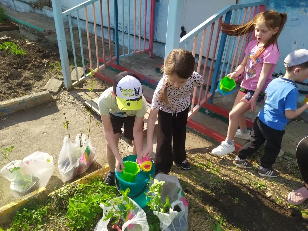 🌾 Заложили новую традицию: «Аллея выпускников» 🌾