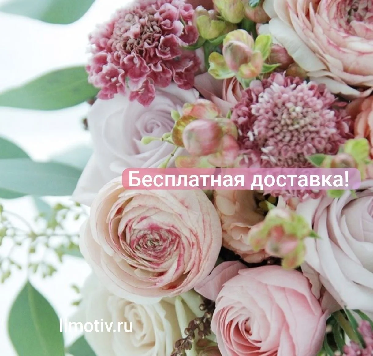 Заказы от 2500 руб  доставим  бесплатно!                                               ...