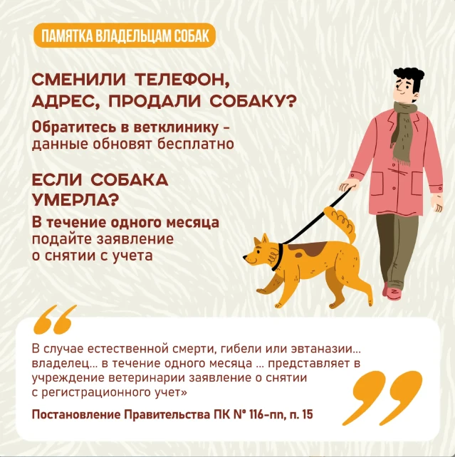 📣 А у вас дома живет собака? Тогда вам нужно ее зарегистрировать! ⁣ Процедура обязательна вне зависи