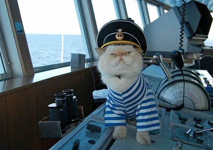 ☀️ Доброе утро, тюменцы!
