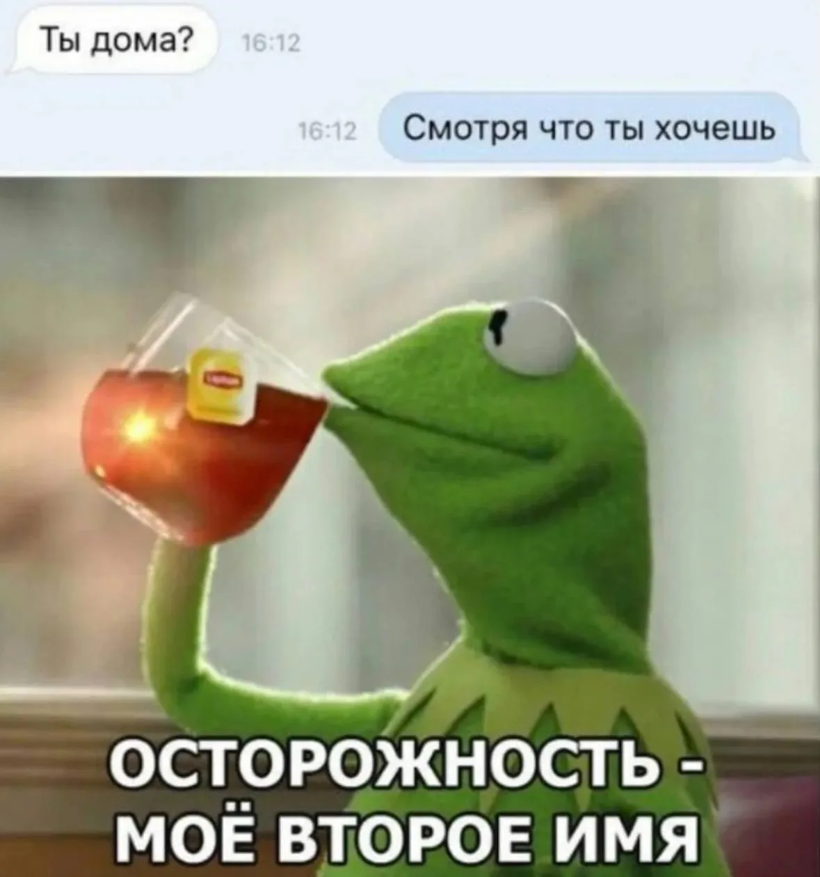 Кукуха в отъезде 🐦