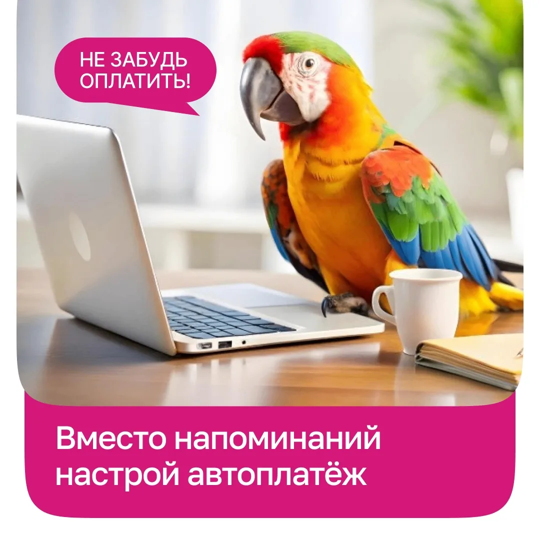 Чтобы не забыть оплатить интернет, можно научить попугая кричать «Оплата!». Или сделать...