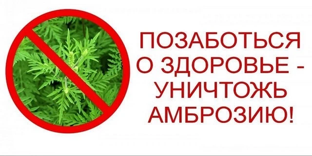 Уважаемые жители Ковалевского сельского поселения Новокубанского района и руководители ...