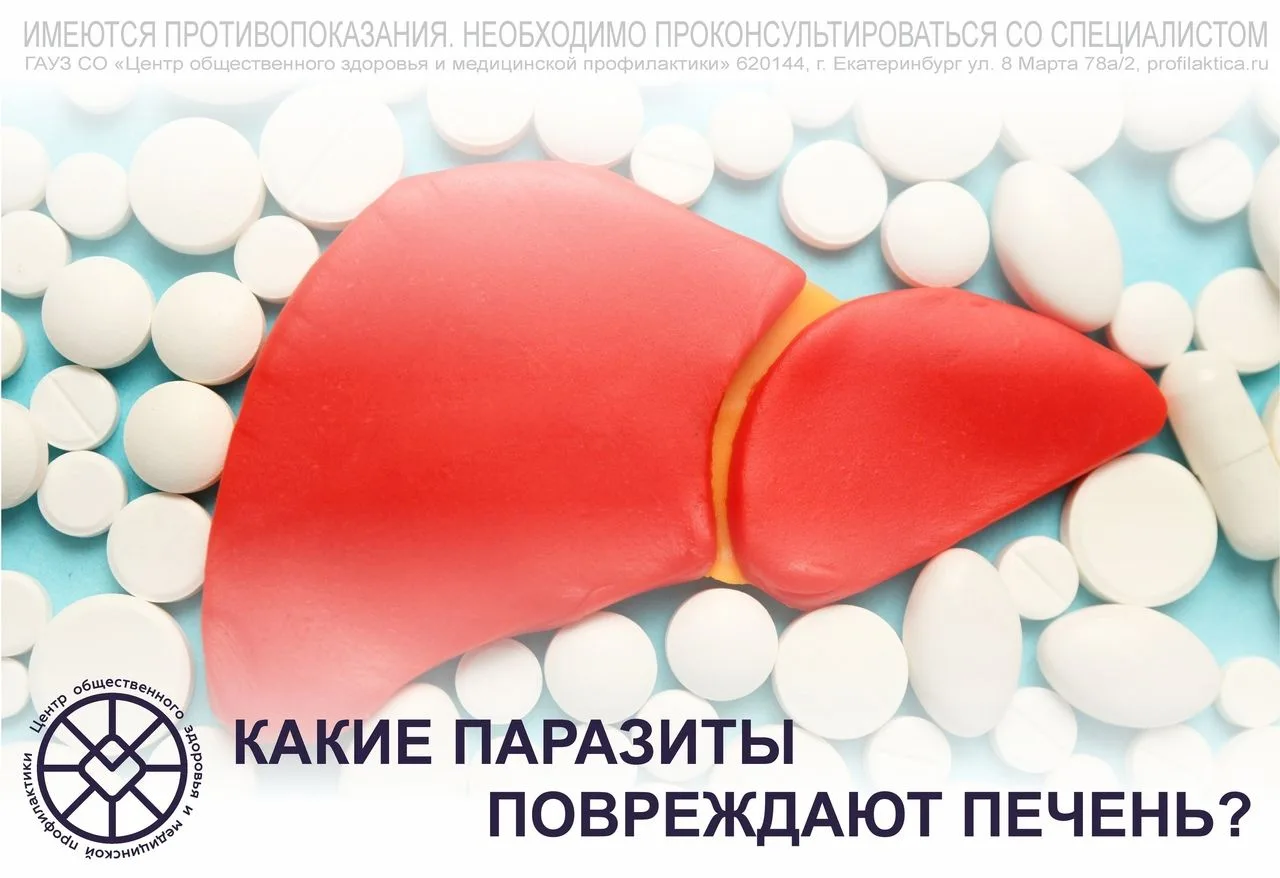 А вы знали, что паразиты могут быть не только в кишечнике человека, но и в печени, нанося огромный в