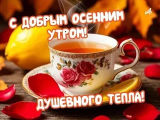 👉 Открытки в MAX – подписывайтесь