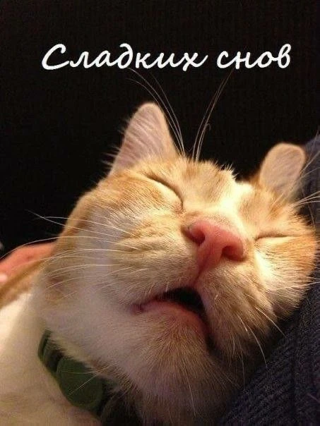 Желаем всем спокойной ночи и сладких снов ❤️