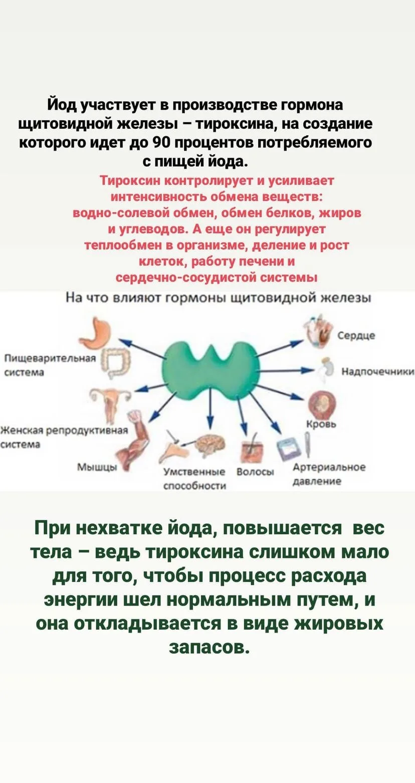 🥷Когда мы «всю жизнь на диете» в попытке похудеть, мы ж не только находимся в дефиците калорий, но 