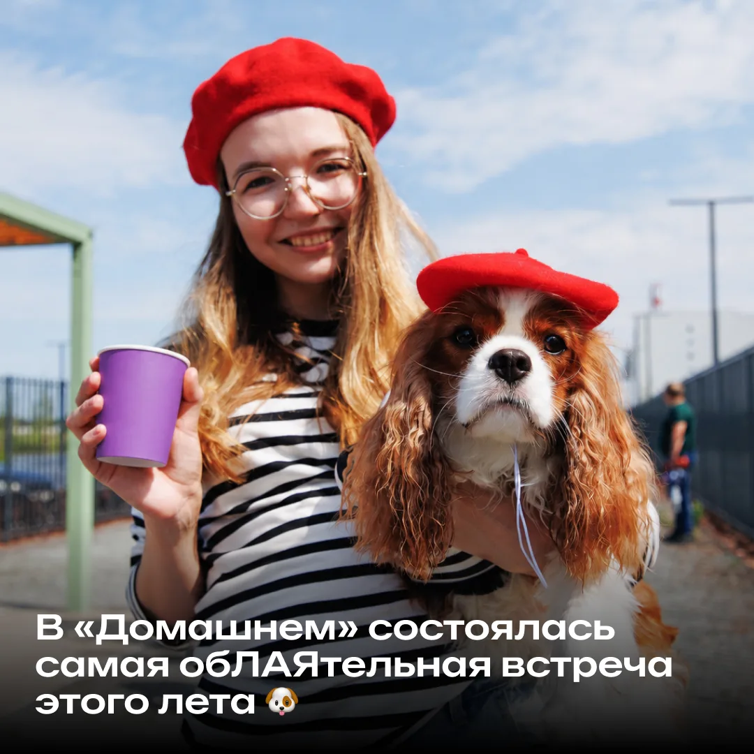 Несём вам порцию дофамина из «Домашнего» 🐶

В выходные на площадке для выгула и дрессировки собрали
