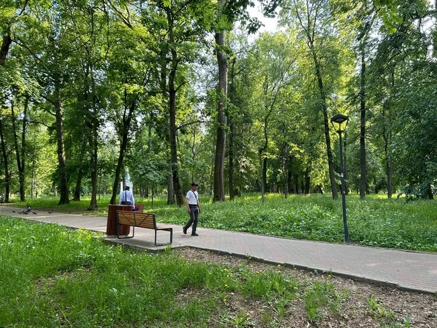 Суд обязал мэрию увеличить процент озелененных территорий в центре Нижнего Новгорода