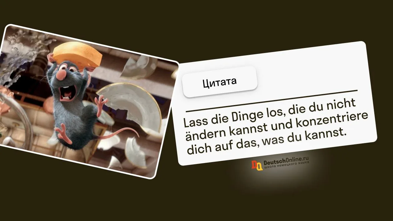 Мудрость дня на немецком 🦉  ​​📝 Lass die Dinge los, die du nicht ändern kannst und konzentriere dich