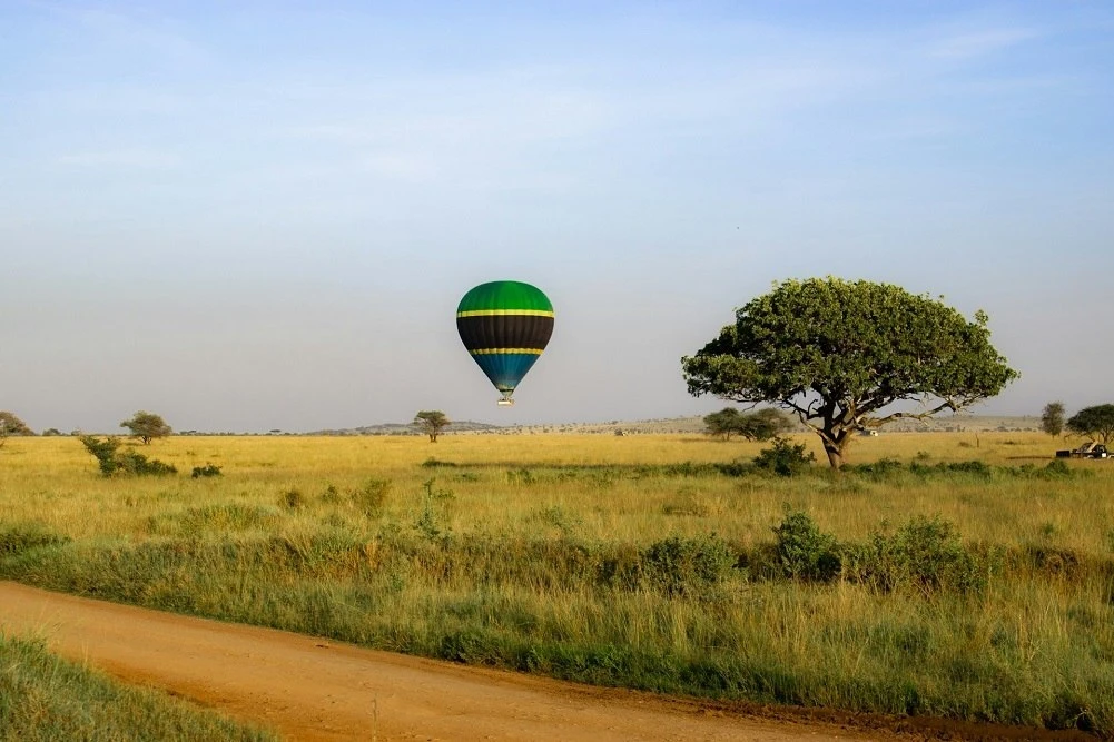 Почему Air Tanzania так быстро передумала насчет рейсов в Россию?