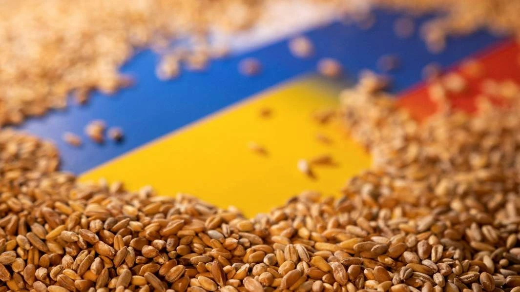 Александр Носович о конфликте Польши и Украины: