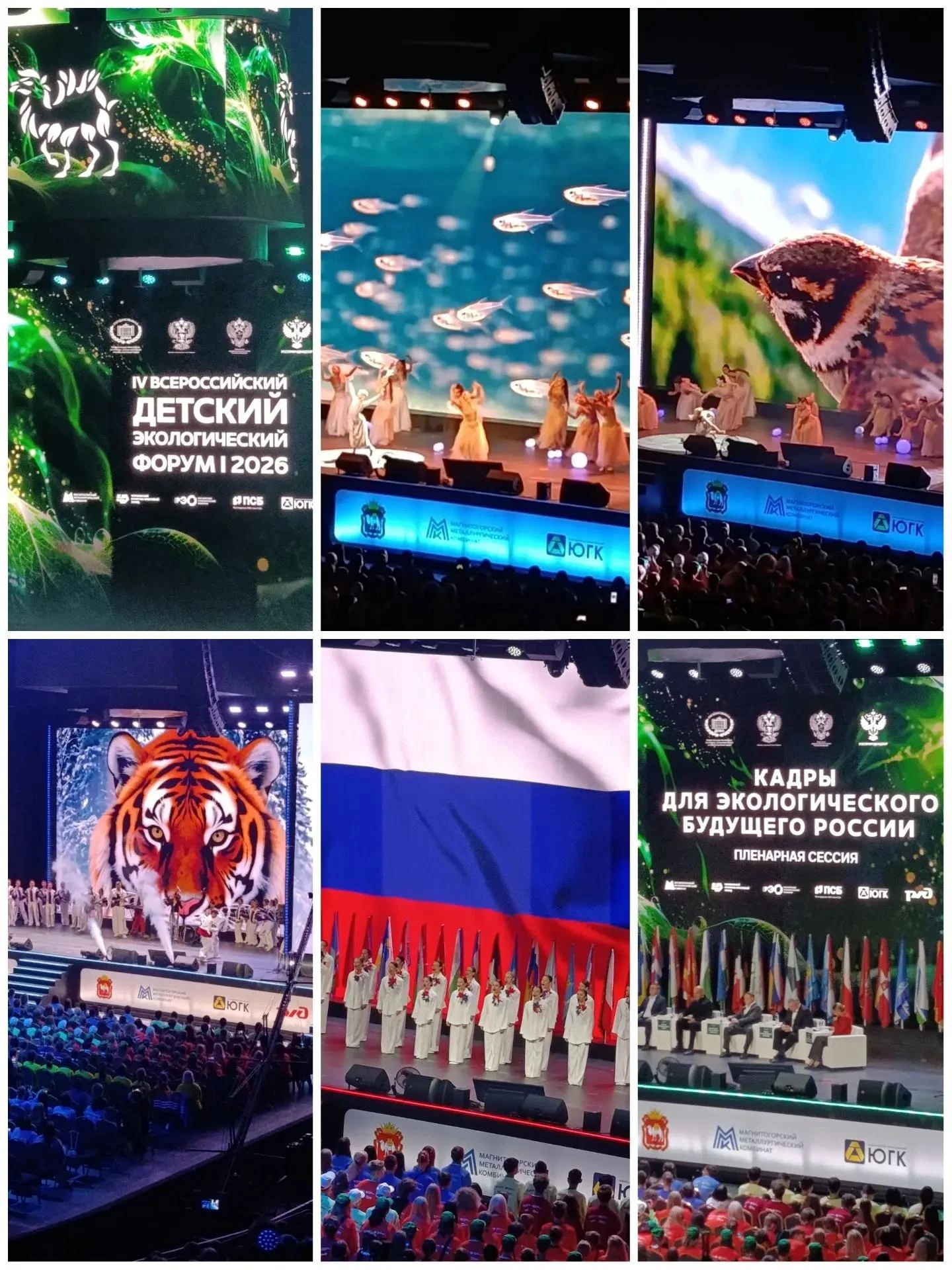 🌳 IV Всероссийский детский экологический форум в Магнитогорске! 🌳