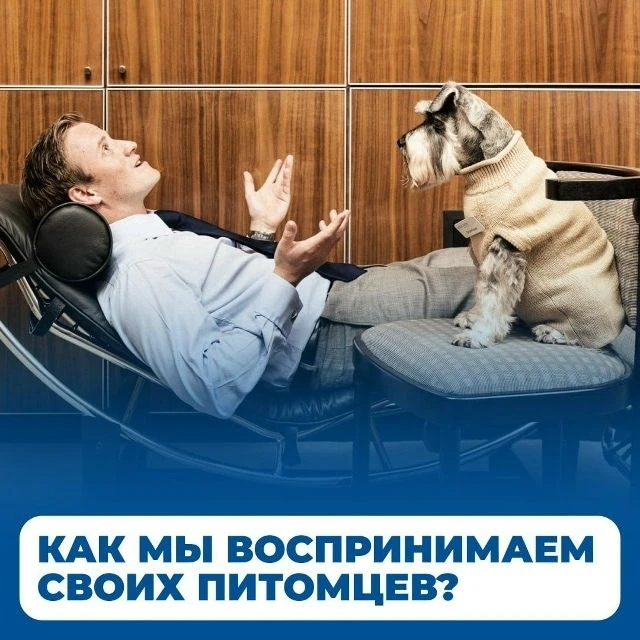 Задумывались ли вы о том, какие бывают типы хозяев собак? Вот три основные категории: Х...