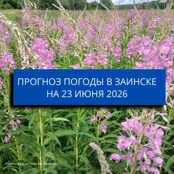 Погода в Заинске на 23 июня: дождь, грозы и возможен град

23 июня в Заинске ожидается облачная пого