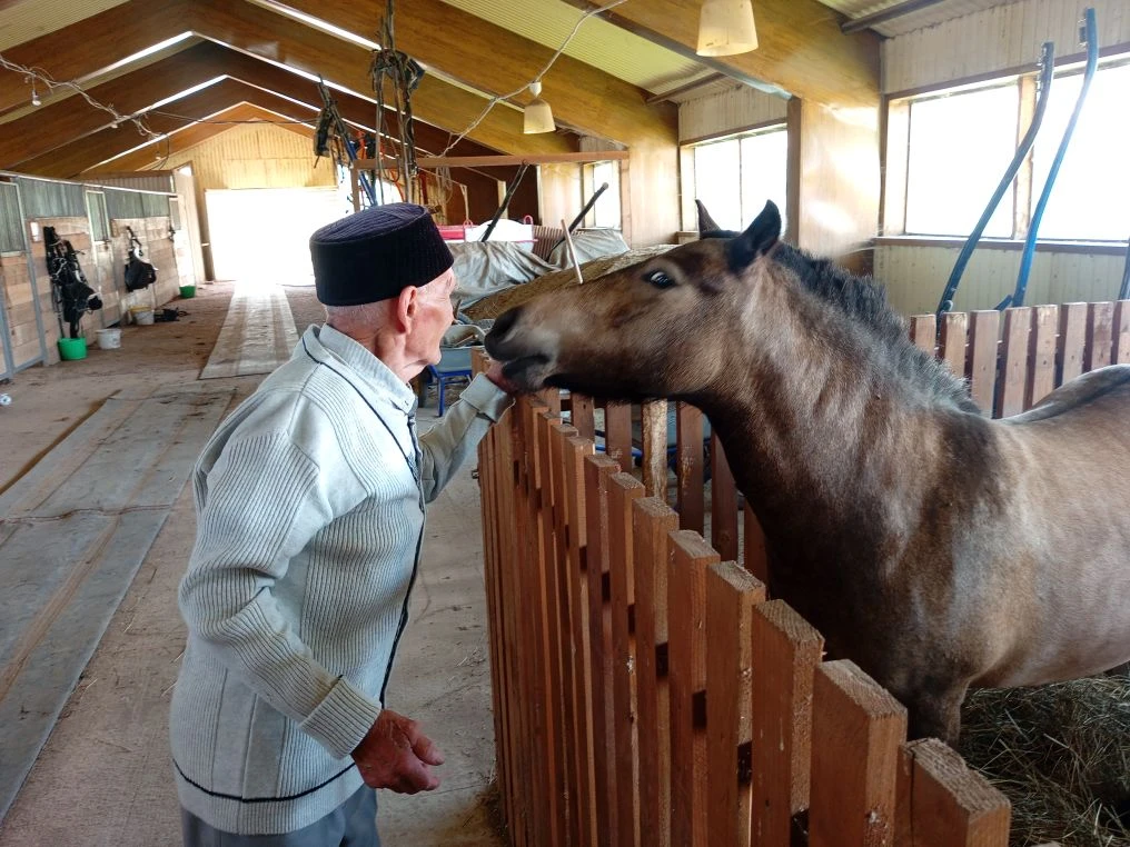 #Активноедолголетие #КСКАргамак #соревнованияпоконкуру
