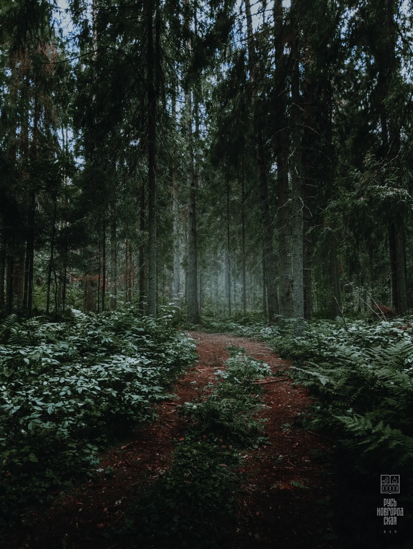 🌿 В дождливую погоду хочется делиться чем-то таким…