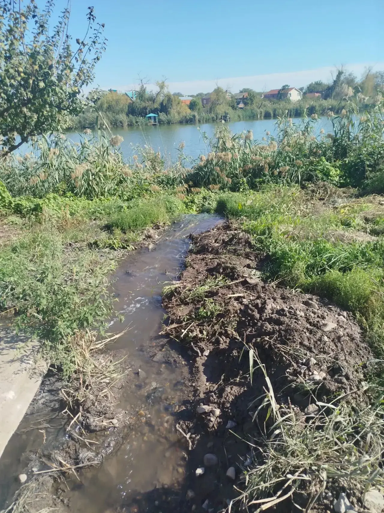 Жители Динской бьют тревогу: сточные воды текут прямо в реку