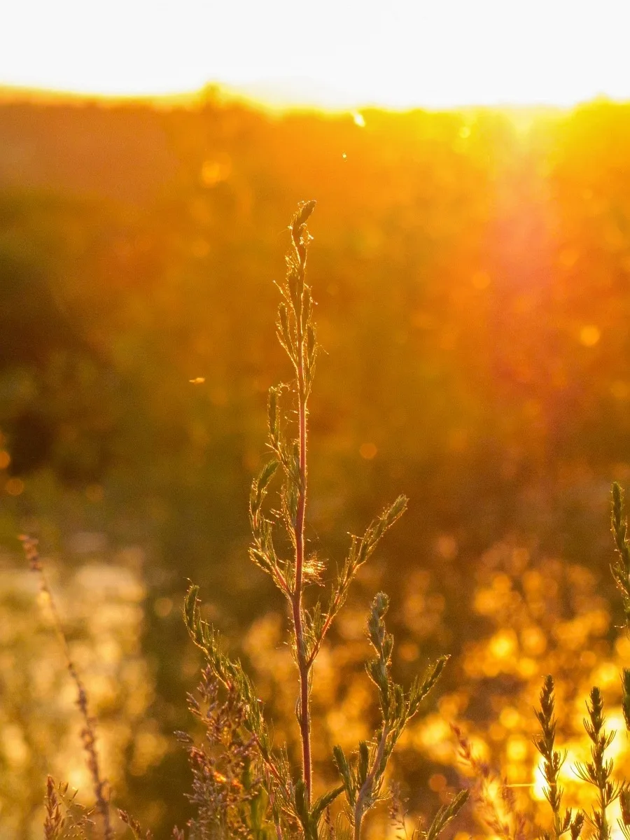 Доброе солнечное ☀️

Пусть ваш день пройдет замечательно, сегодня пятница, а это значит — пора думат