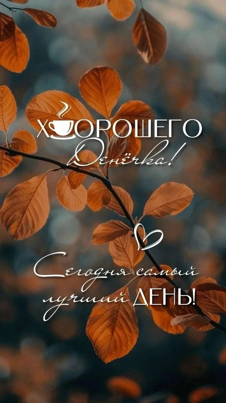 💌Послание дня: