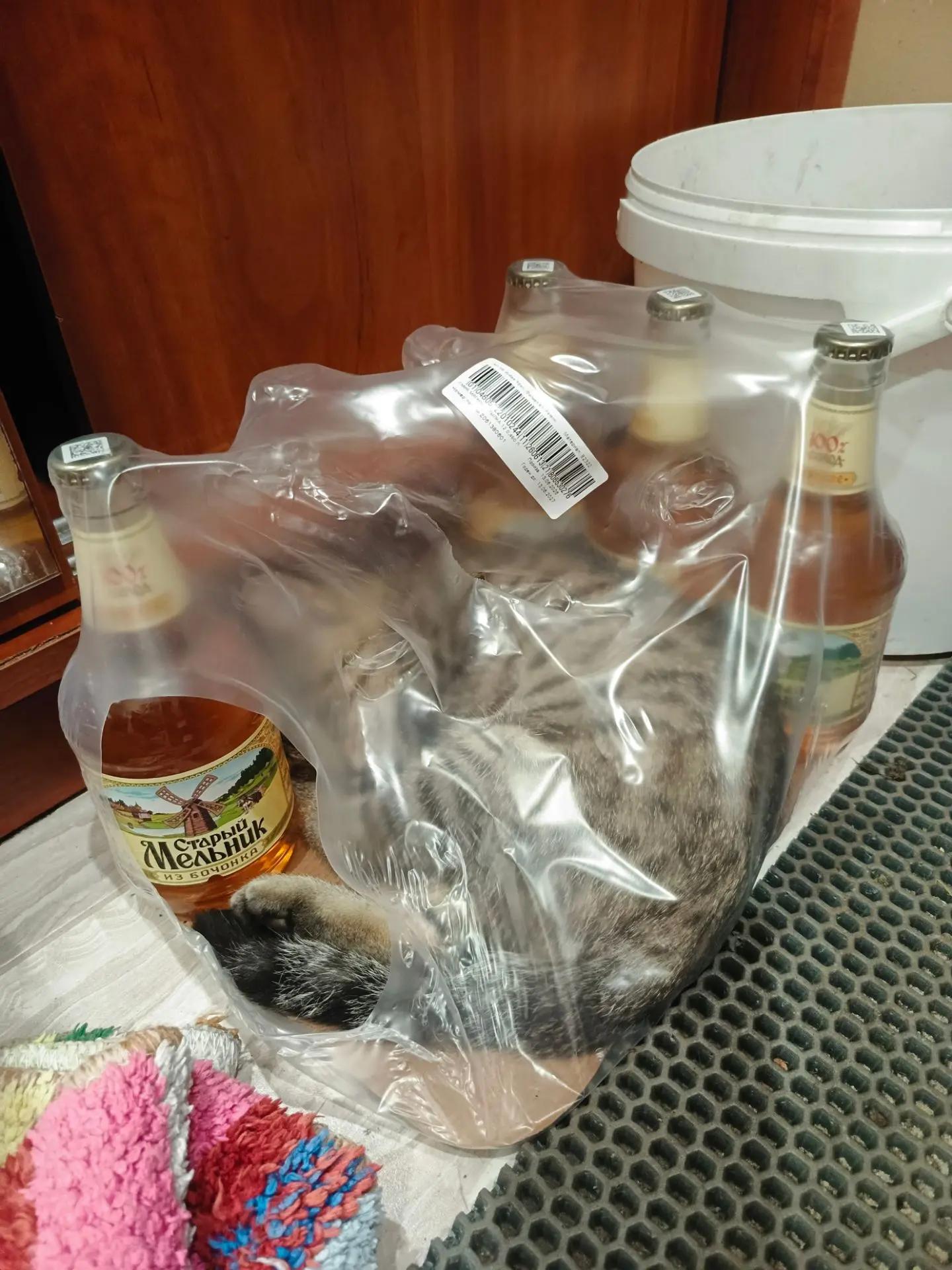 Найди кота 😽 🤣☺️🤦🤦🤦