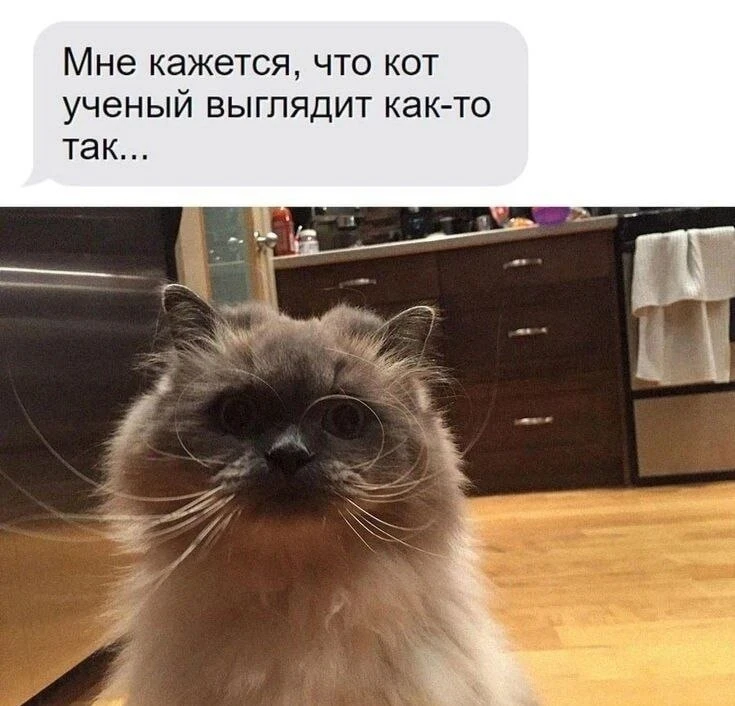 Котовое