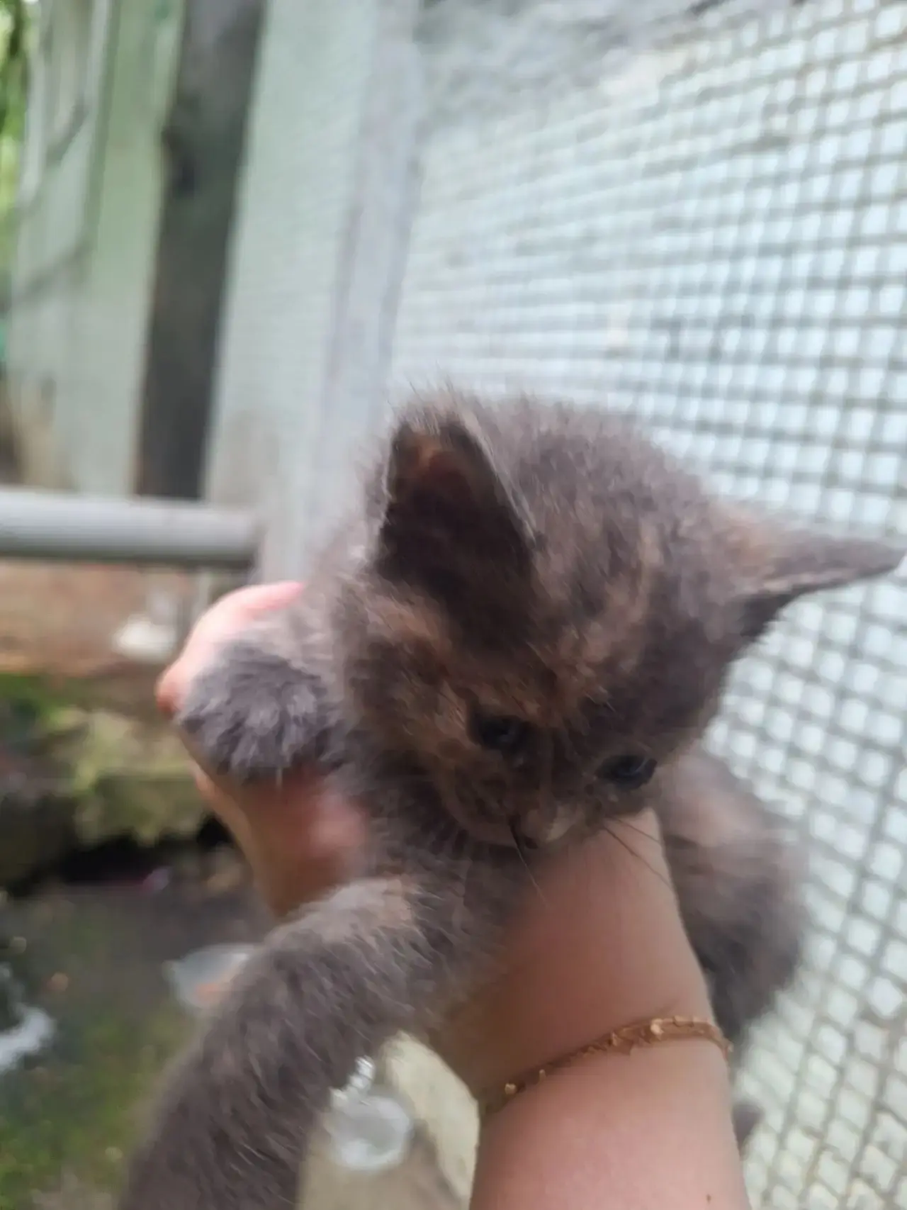 Малыш ищет семью 🐈 и заботливого хозяина 😊

Уточнить информацию можно по телефону 
8 (910) 486-87-
