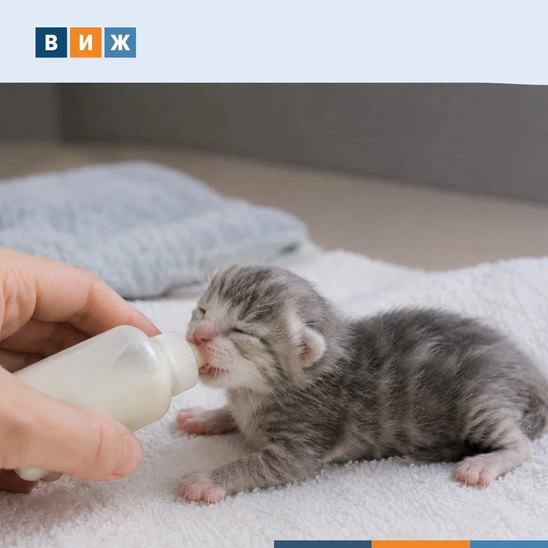 🇺🇸В США отзывают заменители кошачьего молока Breeder’s Edge и Shelter’s Choice. Произ...