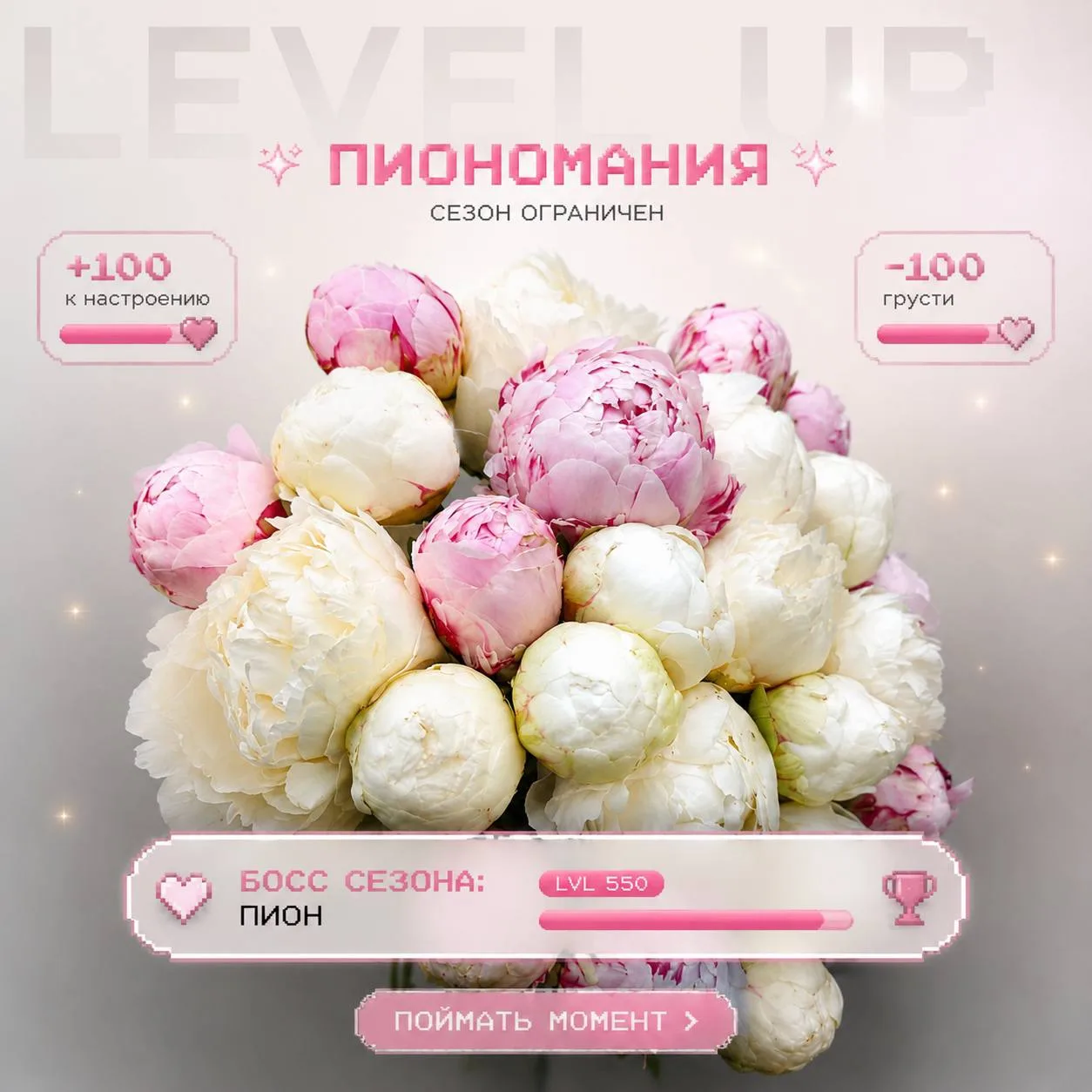 Пионы! Осторожно: вызывают зависимость⭐

Любимые цветы всех девушек..
↪️и да, у нас есть теория поче