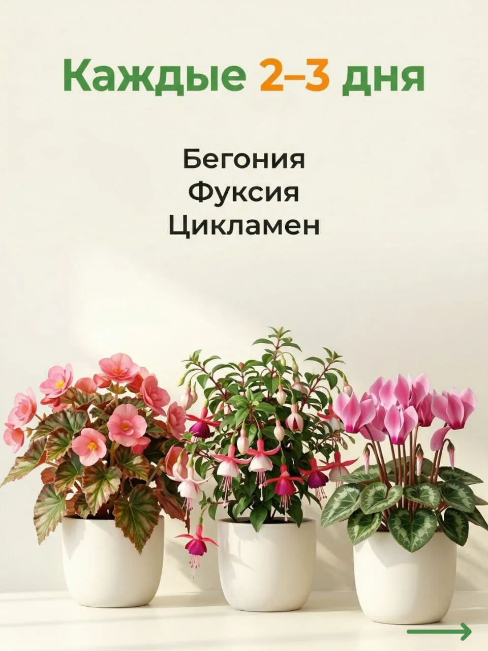 Секреты полива и питания комнатных джунглей: шпаргалка от ОрганикМикс 🌿  По статистике 93% россиян в