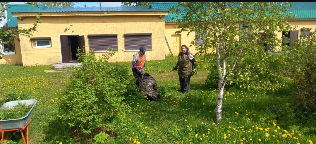 Субботник на территории музея состоялся 17 июня: от мусора и захламлений была убрана зона дендрария.