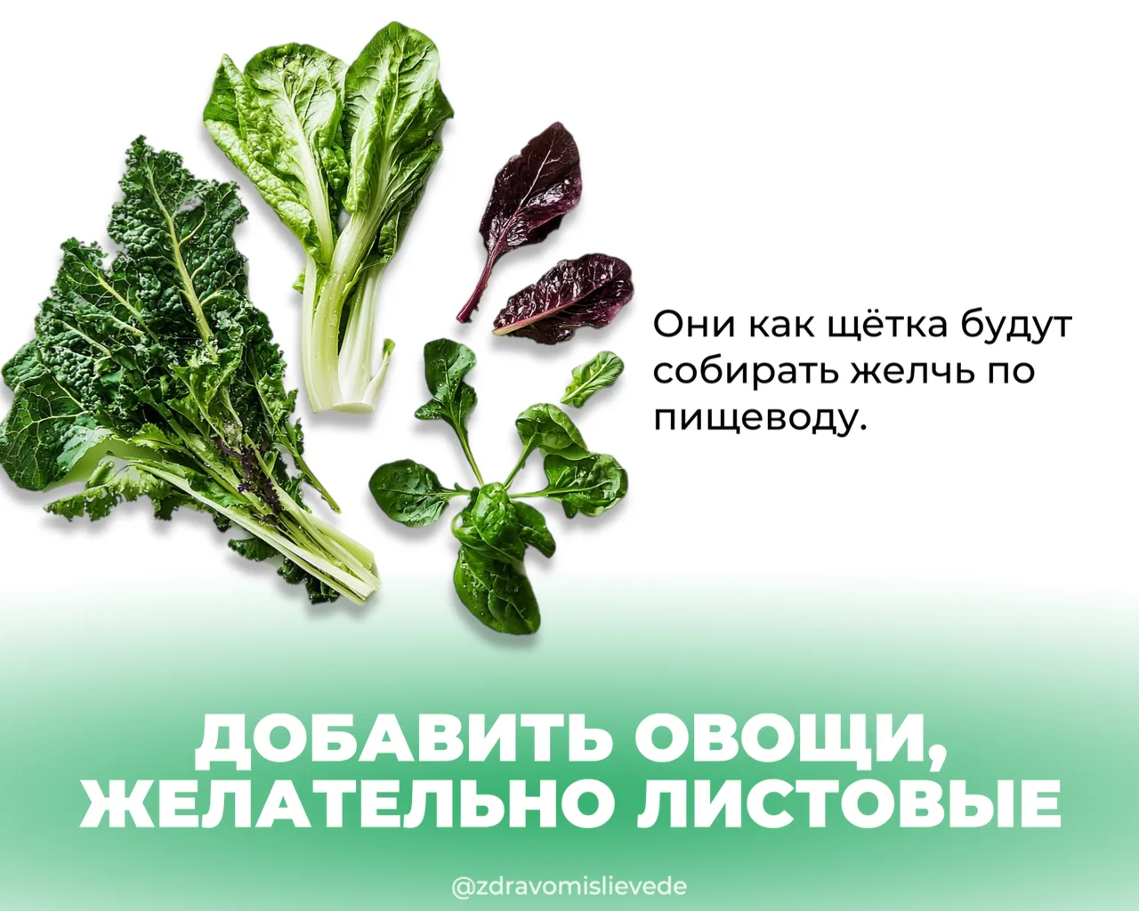 Нет жёлчного пузыря = нет проблем с желчеоттоком?  Вчера затронули желчеооток и сразу всплыл вопрос: