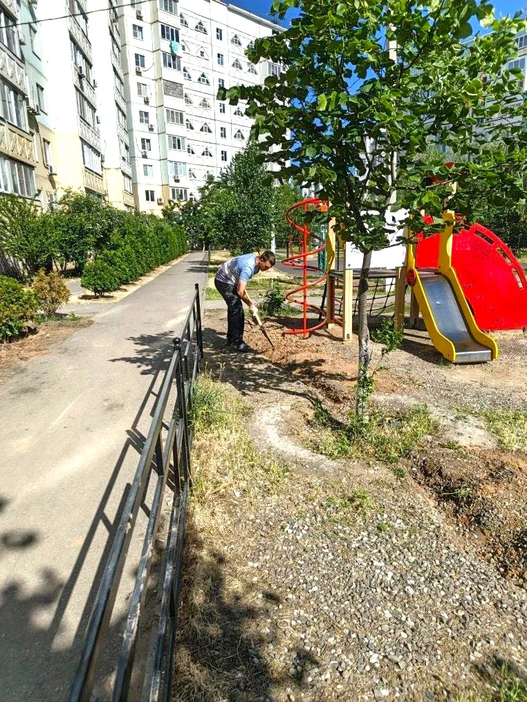 К новости «🌳 Сохраняем красоту и свежесть зеленых насаждений!»