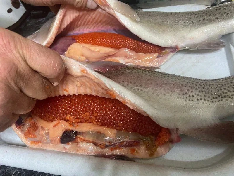 Осетинская форель с икрой 🐟🔥