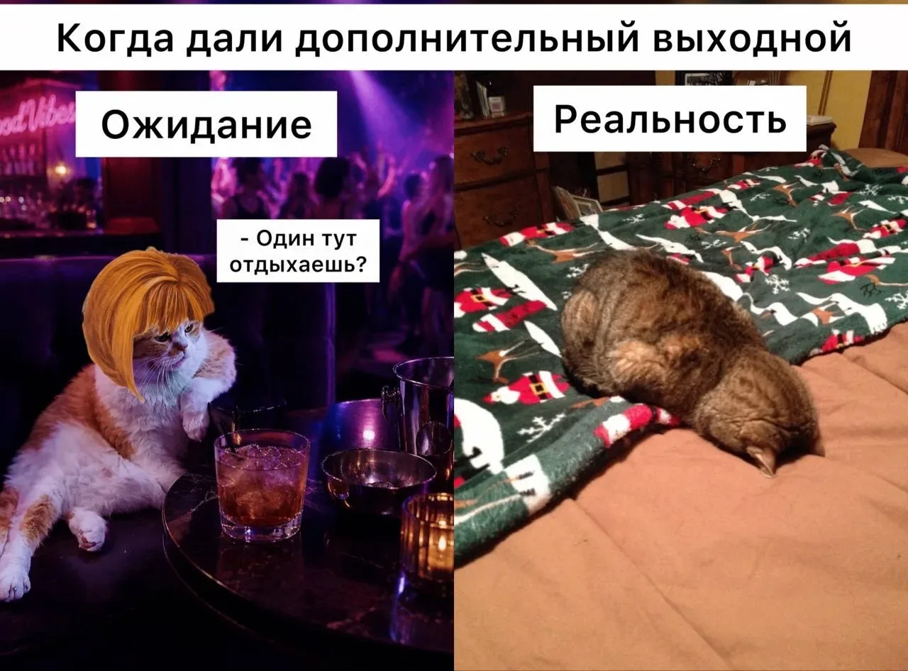 Кажется, авторы этой идеи немного переоценили наши планы на пятницу