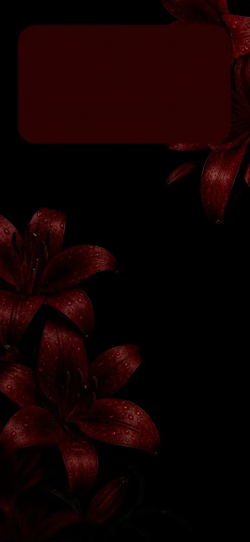 Обои в бордовой эстетике 🥀