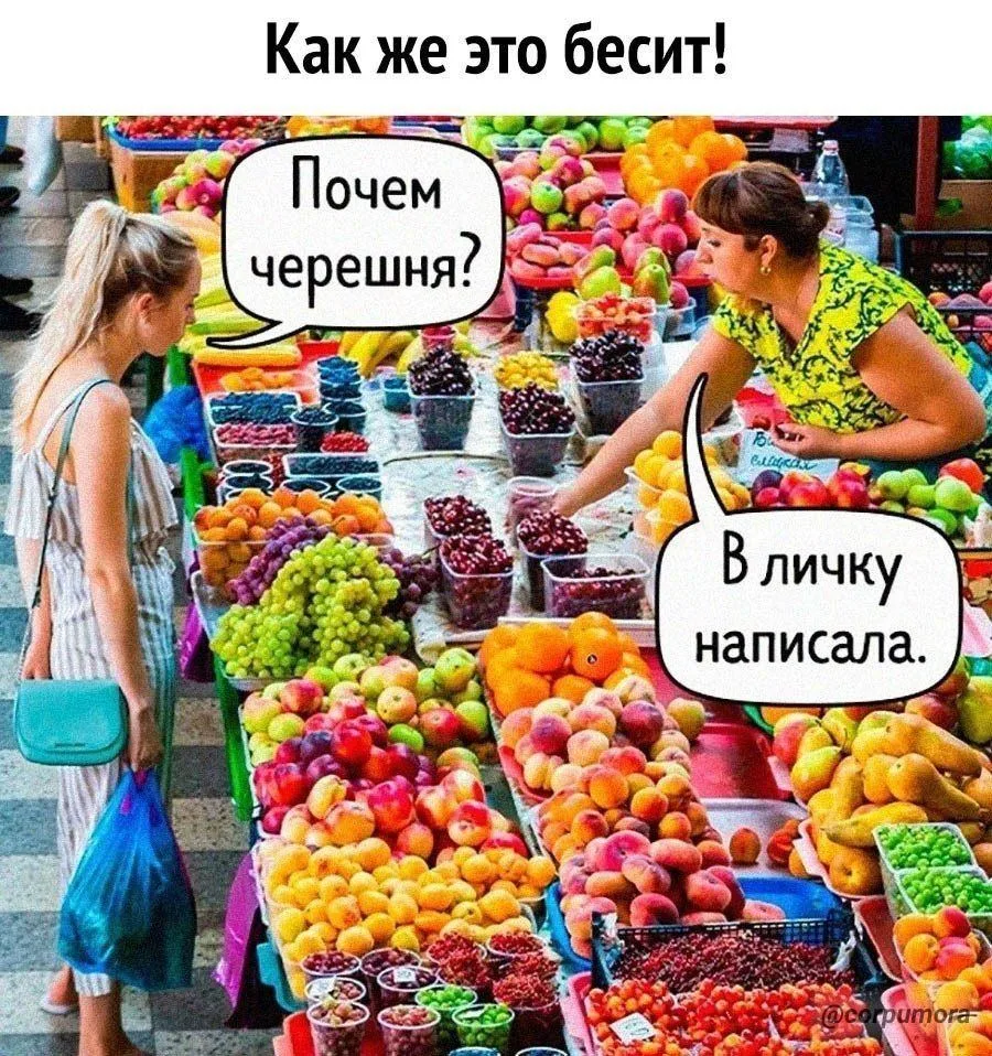 ❗️ЛУЧШИЙ КАТАЛОГ КАНАЛОВ  В MAX ❗️