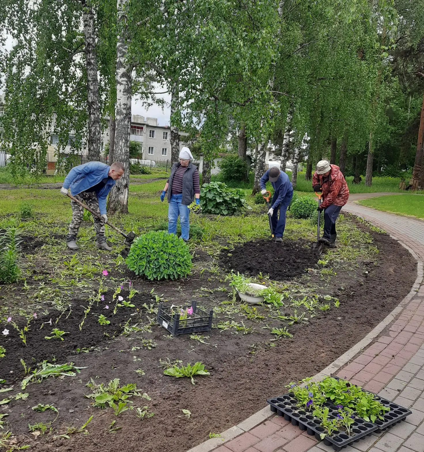 29 мая совместно с МУП"Гарант ЖКХ" приступили к посадке цветов в парке п.Светлогорск
