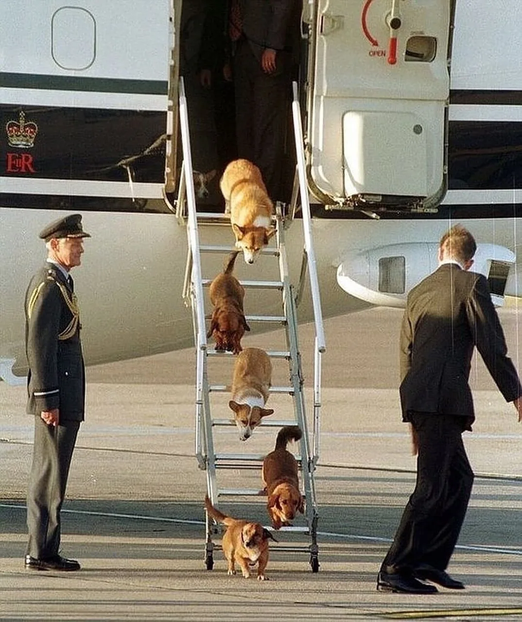 Корги королевы Елизаветы II покидают борт её самолёта. 1998 год.