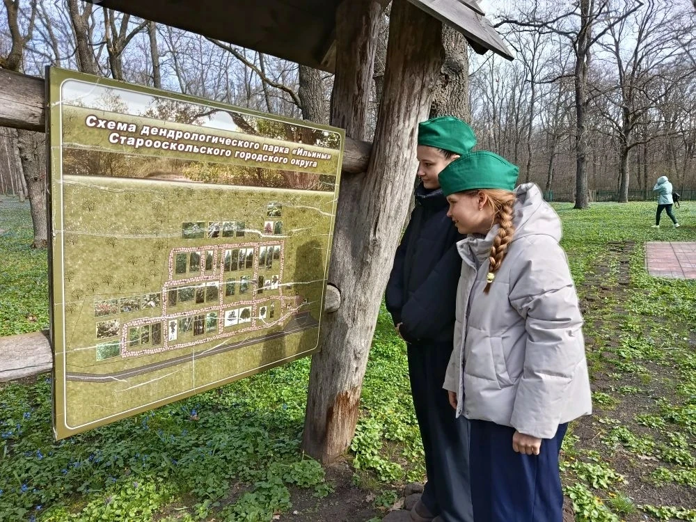 🌲Члены объединения "Юный лесовод" Дрыгина Александра и Крюкова Вероника побывали на эк...