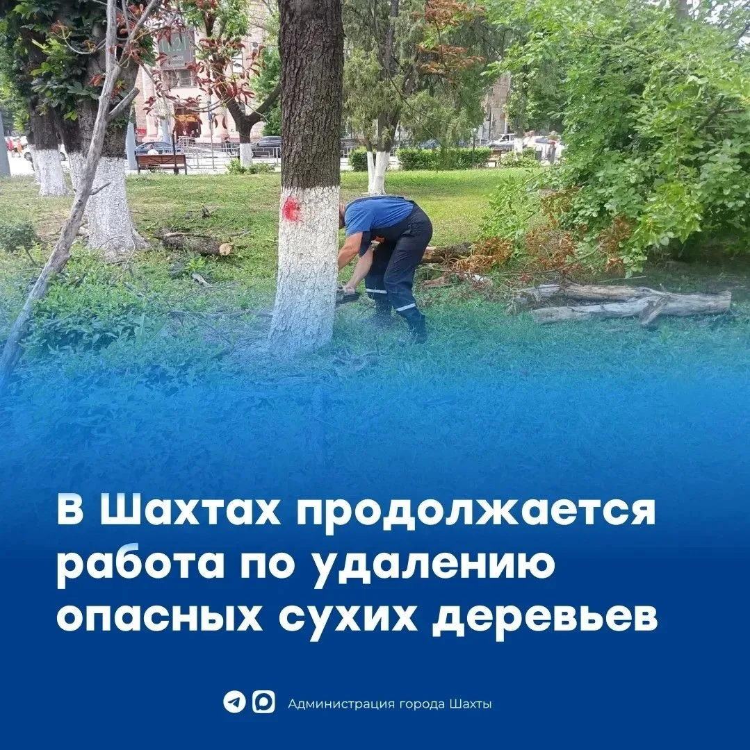 В Шахтах на площади имени В.И.Ленина проводится спил аварийных деревьев

💪22 июня в городе Шахты сп