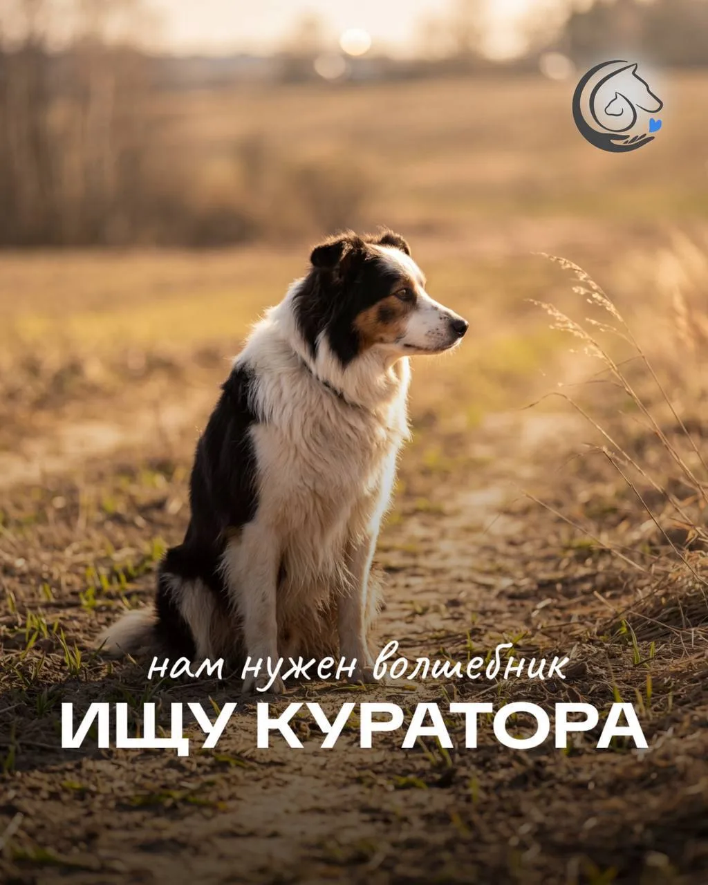 Ищем кураторов для жителей приюта  🙏🏻❤️‍🩹