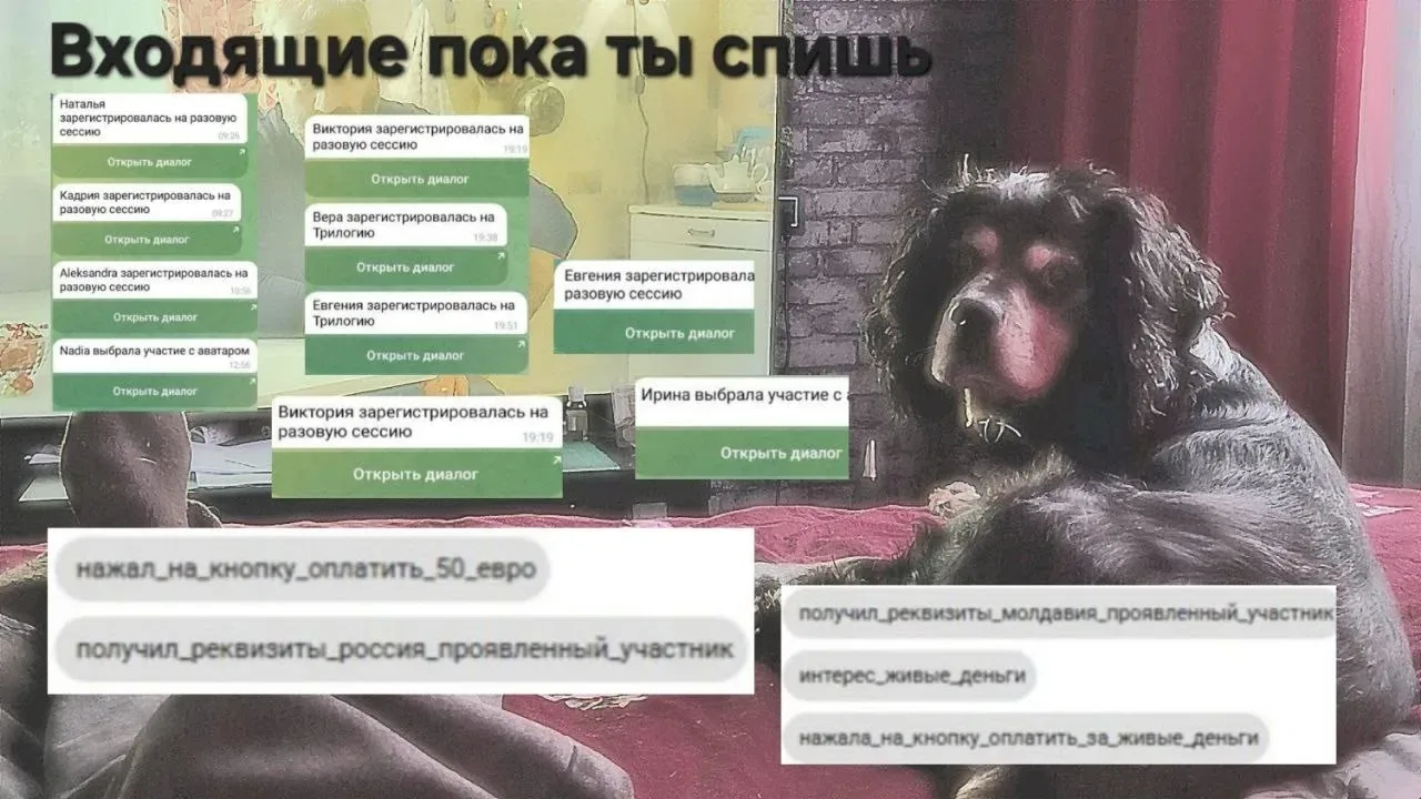 Иногда мне пишут разные люди 

эксперты, предприниматели, женщины, которые пробуют зарабатывать онла