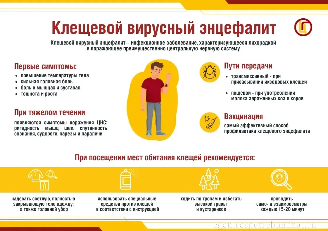ВСЕМИРНАЯ НЕДЕЛЯ ИММУНИЗАЦИИ: знать, чтобы защитить 🌍🛡  С 24 по 30 апреля проходит Всемирная неделя 