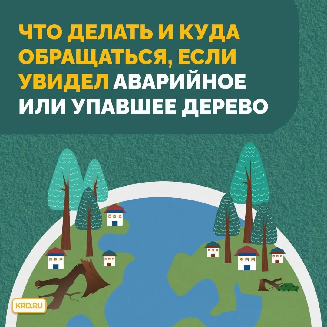 💨  В городе усиливается ветер 

Подготовили для вас полезные карточки с инструкцией о том, что дела