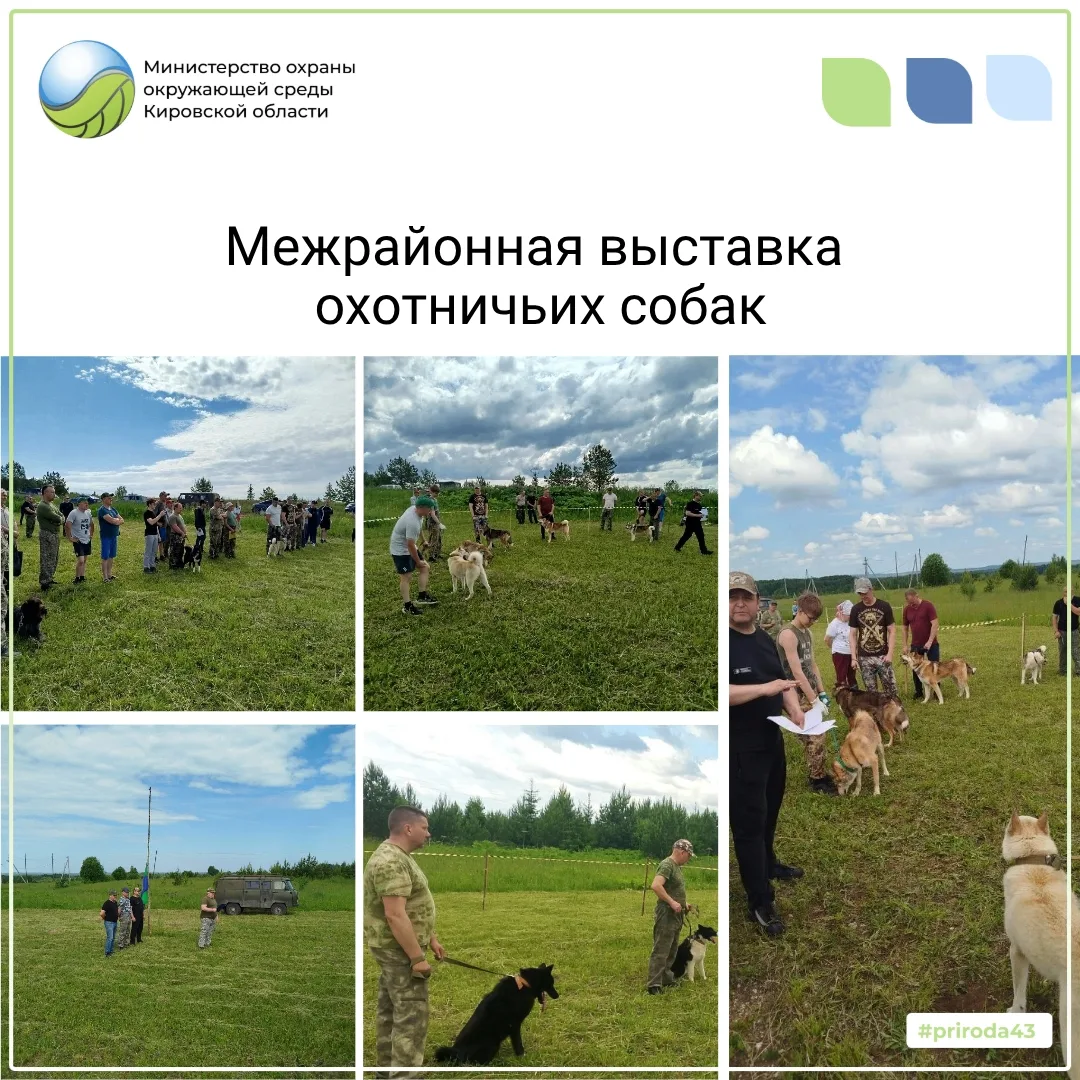 Состоялась 70-я Слободская межрайонная выставка охотничьих собак.
