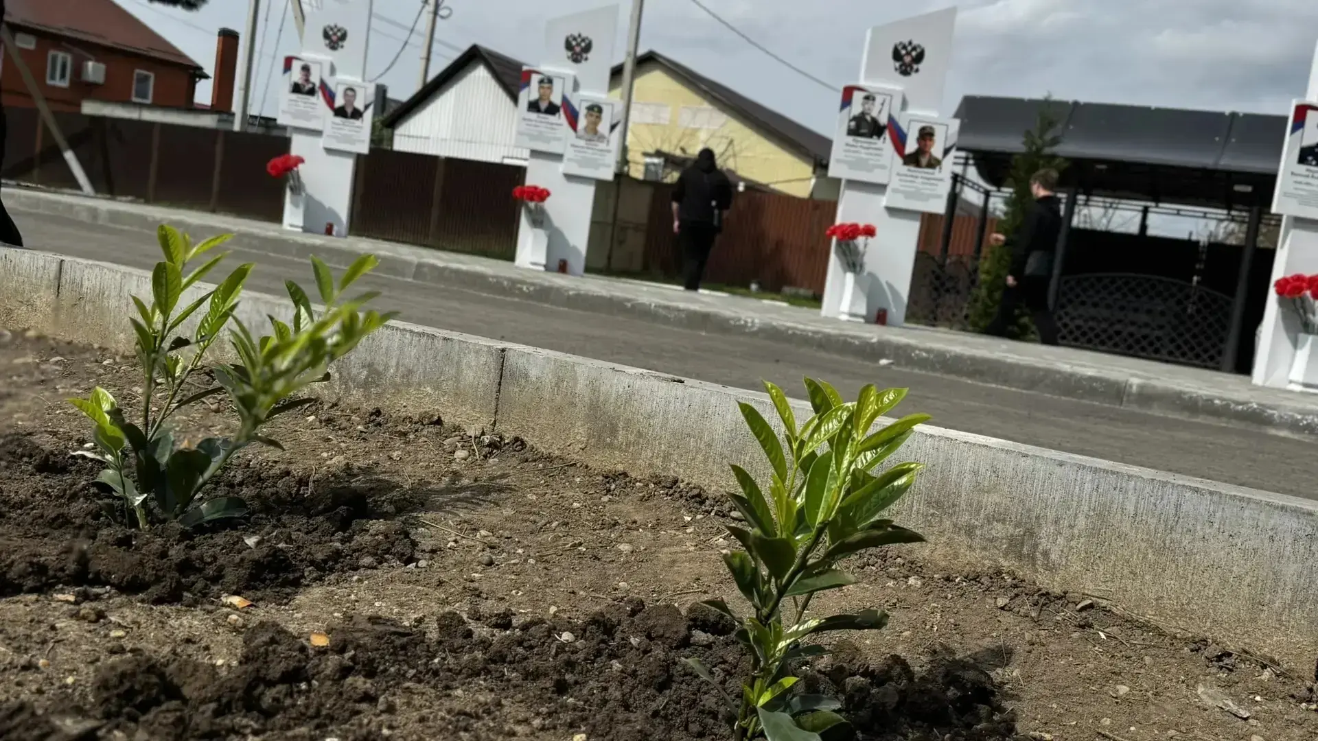 Связь поколений — в каждом саженце!🌱  Студенты и педагоги ГБПОУ КК «Брюховецкий аграрный колледж»  п