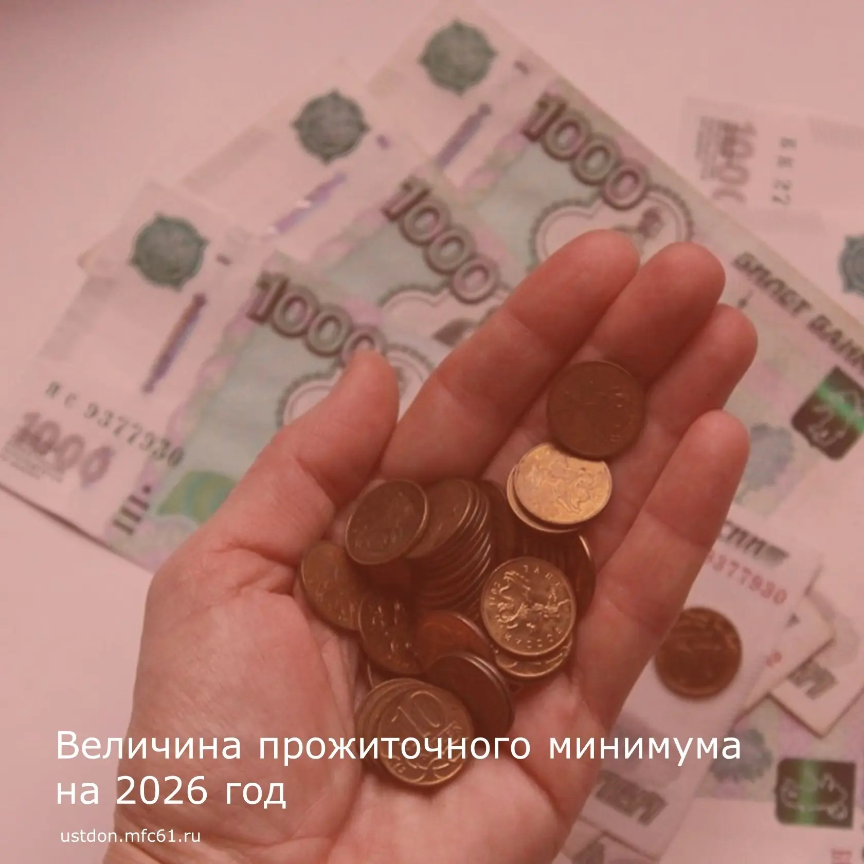 Установлена величина прожиточного минимума в Ростовской области на 2026 год.