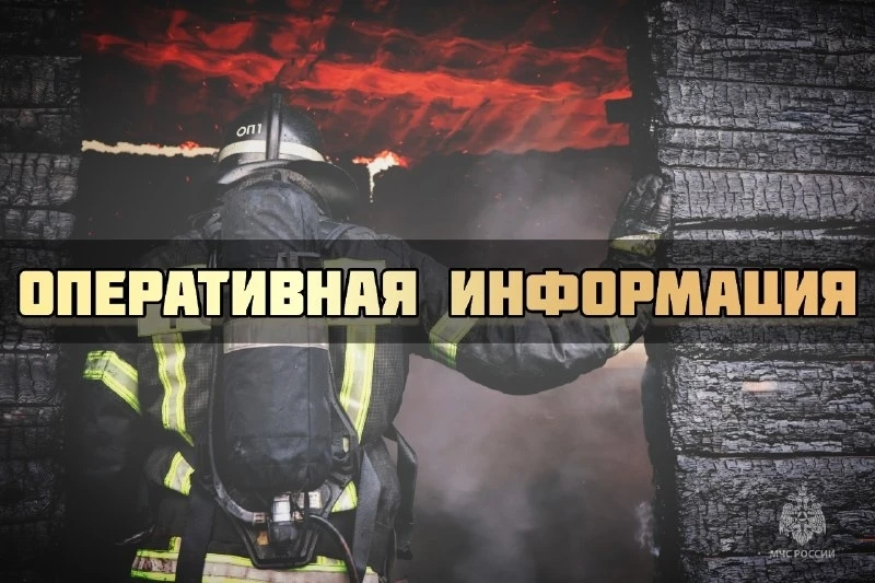 #ОперативноЗаСутки

За минувшие дежурные сутки пожарно-спасательные подразделения Псковской области 